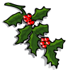 holly branch
